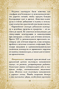 Оракул. Магия звезд и растений. Таро, гадания и знаки (55 карт и руководство)
